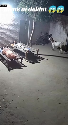 Exploring Paranormal Activity in Everyday Life