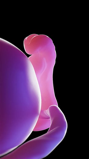 215K views · 3.1K reactions |  Discover the Stages of Fetal...