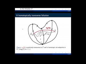 Dynamic and Topological Aspects of Hamiltonian Floer Theory on Surfaces - Dustin Connery-Grigg