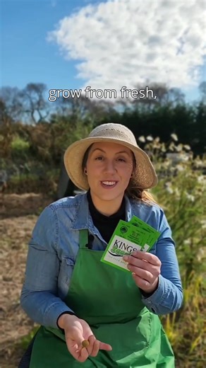 Now that we understand heirloom and hybrid seeds, what's the deal with 'F1' on a seed packet? No, it's not some secret code or a reference to a fast-growing vegetable that is Formula One-ready. Let's demystify it. ⁠ ⁠ You might see F1 on some hybrid seed packets; 'F1' stands for 'first filial generation.' This term indicates that the seeds are from a first-generation cross of two distinct parent varieties, resulting in plants with specific desired traits. This first-generation cross often result