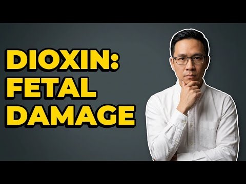 How Does Dioxin Impair Human Fetal Development?