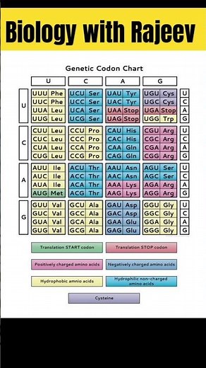 आनुवंशिक कोड|genetic code|class 12 biology