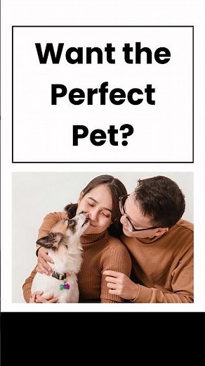 Want the perfect pet?