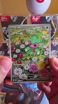 Master Setting Pitch Black!!! 14.43% #pokemon #packopening #luck #master #set