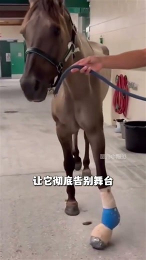 Lost in Pixels: A Chip's Final, Heartbreaking Story