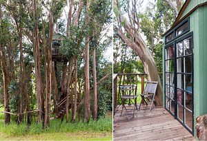 Watch full movie In Treehouse A in english 4K 21:9