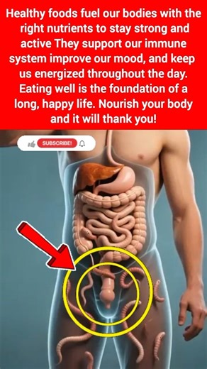 "Exploring the Intricate Internal Structure of the Human Body"#HumanBody #InternalStructure #Anatomy