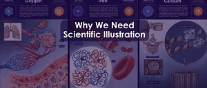 Why We Need Scientific Illustration