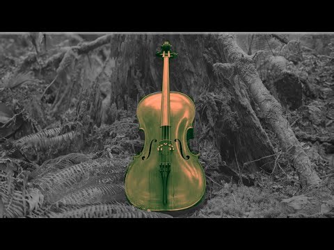"Out of Winter" 1 hour dark cello improvisation. (no loop) Music for humanity