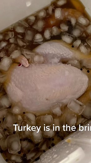 Brining the Perfect Turkey with Alton Brown's Recipe