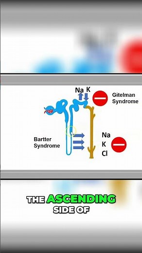Bartter & Gentleman Syndrome: Kidney Health Explained #shorts