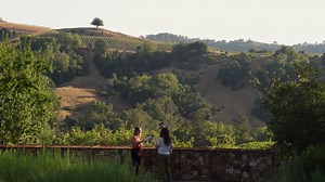 Hess Estate Tasting & Tour