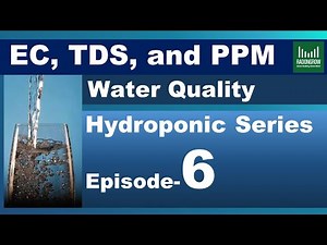 E6: Water Quality in Hydroponics & What is EC PPM & TDS?