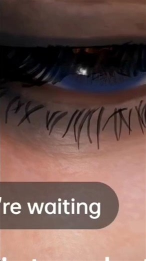 the first descendant dia awakens