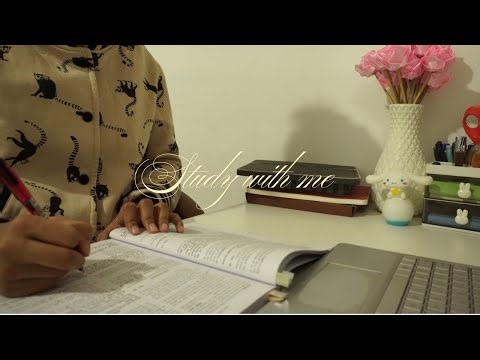 No Music, No Talking | 32 Minutes of Peaceful Studying ASMR