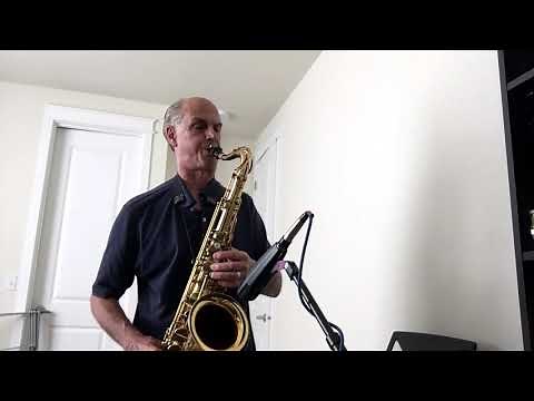 Jungleland Clarence Clemons Saxophone Solo by Steve Lacatena