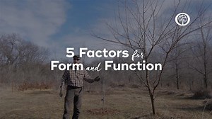 Do you know the 5 factors for tree pruning form and function? #askanarborist | Arbor Day Foundation
