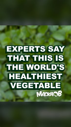 Ras Mackab on Instagram: "Macka B's Wha Me Eat Wednesdays 'Experts Say This Is The World's Healthiest Vegetable' Please leave a comment below and share #vegan #MackaB #reggae #vegetables #health #healthyfood"