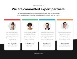 Expert partners consulting - Website Template by Nicepage