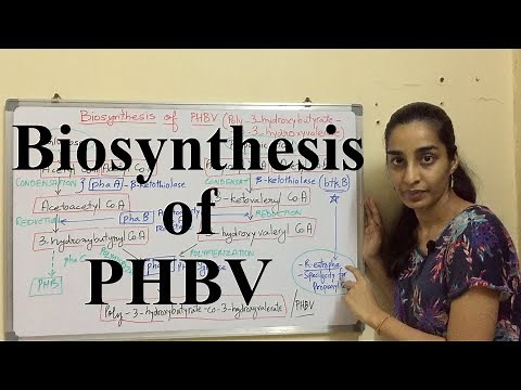 Biosynthesis of PHBV | Biosynthesis of PHA | Science Land