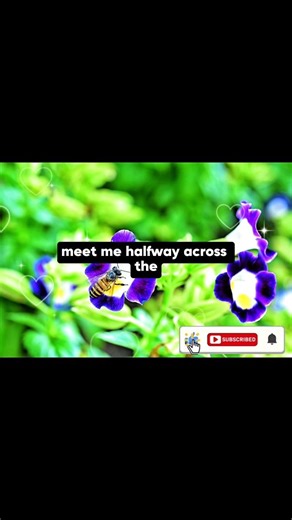 Meet me half way(With lyrics