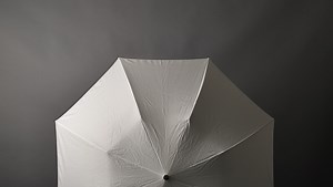 Umbrella 101 for Beginners: Bare Flash vs. Shoot Thru vs. Reflective Umbrellas