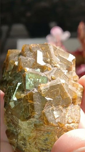 These Garnet Crystals Change Color? Nice. #garnet #crystals #gems #nature #science #coolrocks
