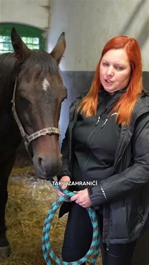 O lidech a koních → sledujte od 14. března na Primě, nebo už nyní celá série na prima+!