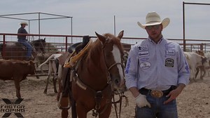 40K views · 1.2K reactions | This one is for the heelers out there....