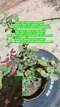 Roll With the Punches: Keep It Real!