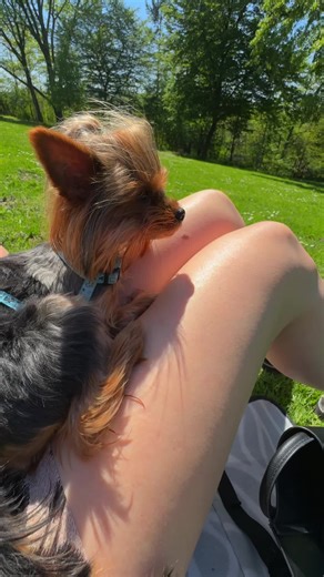 Elaine (@elle_elaine_)’s videos with Balerinna Cappucinna - AIronic Fun