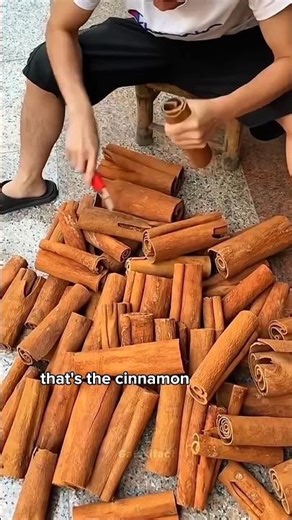 Cinnamon Comes From Tree Bark? 🌳😲 #shorts