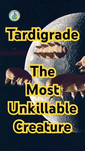 This Tiny Creature Can Survive Space || Tardigrade – The Most Unkillable Creature on Earth