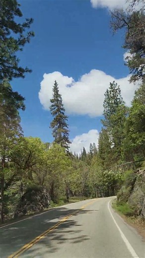 Yosemite National Park #yosemite