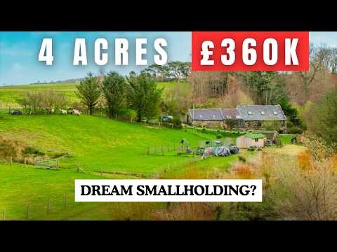 4 Acres 4 Bed Stunning House + Outbuildings - DREAM Smallholding for £360K