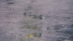 2.9K views · 114 reactions | Grazie a tutti e arrivederci al 2017!!!!!!!!! | MIA Photo Fair BNP Paribas | Facebook