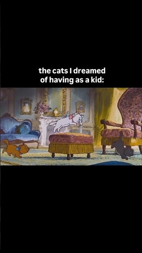 Dreams can come true✨ #catshorts #aristocats #catvideos #catlovers
