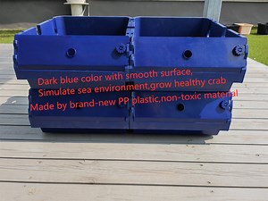 [Hot Item] Solf Shell Crab Culture King Crab Blue Crab Farming Box with Ras Aqualture