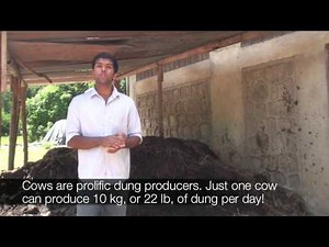 Biogas: From Grass to Gas (English)
