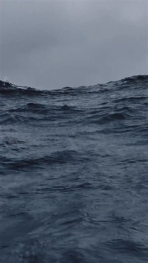 24 DAYS UNTIL GLOBAL RELEASE! Our new OFFICIAL TRAILER is out now! Watch the full cut on YouTube, let us know what you think, and share with your friends 🙂 Produced by the talented Zee Muller Global release December 25th. https://www.womenandthewind.com/ | Women & The Wind