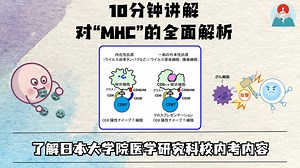 10分钟讲解 对“MHC”的全面解析