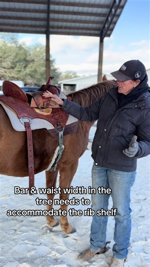 🔥 Bar width and waist in a tree need to work with the horse not against gravity. 🔥designs that accomplish balance are important . #fyp #biomechanics #yearofthehorse #barrelhorse #coaching