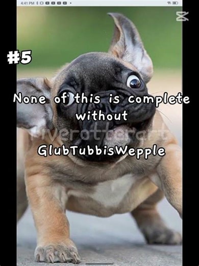 Top 10 goobie woobies