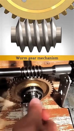 worm gear mechanism