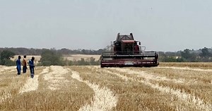 Zimbabwe : new african agricultural power house  | Africanews