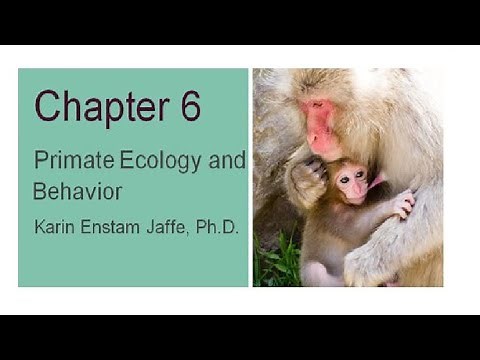 Explorations Chapter 6 Primate Behavior