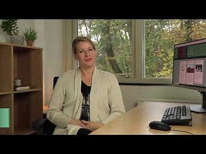 The language brain: The how and why of language research