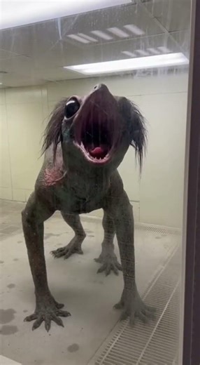 BIO-REALM ARCHIVES // File B-09