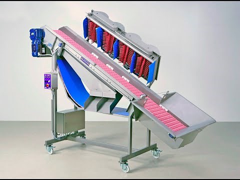 Scharfenberger Euroselect Grape Destemmer with Table Grapes