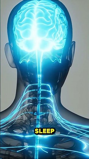 How Sleeping Pills Work in the Brain | 3D Animation #shorts